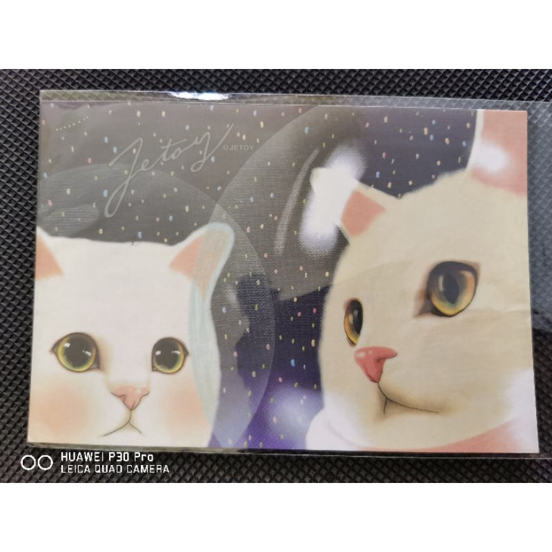 

kartu pos kucing jetoy/jetoy cat postcard