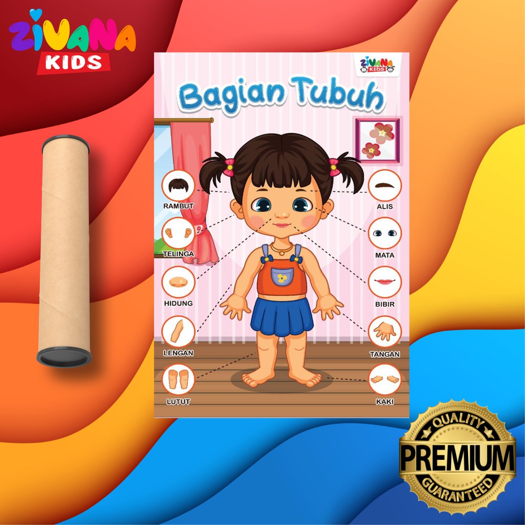 Poster Edukasi Anak Belajar Bagian Tubuh Manusia Cewek Pendidikan Anak Paud Tk Sd Zivana Kids Shopee Indonesia