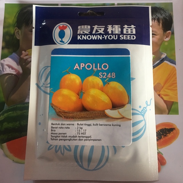 Melon apollo