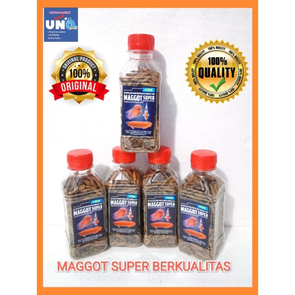 Maggot Super Super Maggot 100gr