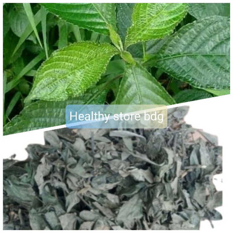 

Daun pecah beling keji beling kering 100 gram