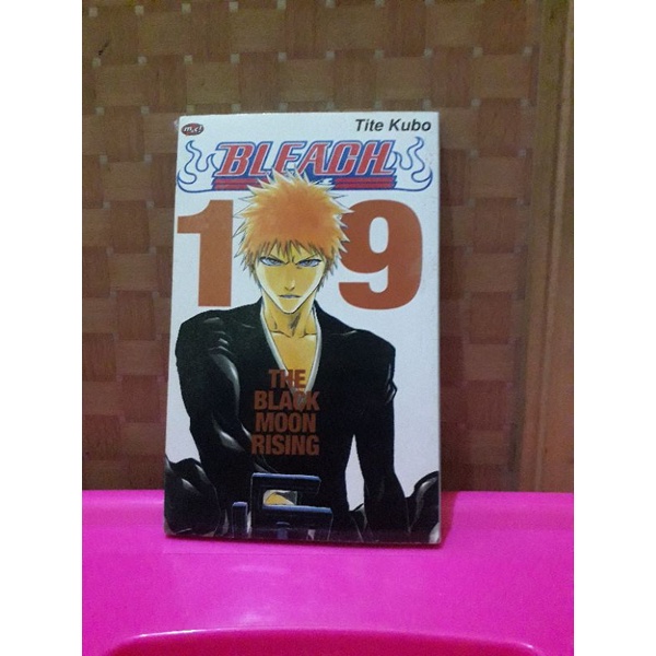 Komik Bleach Vol.19