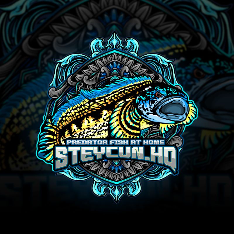 

Sticker Steycun.hq Hologram