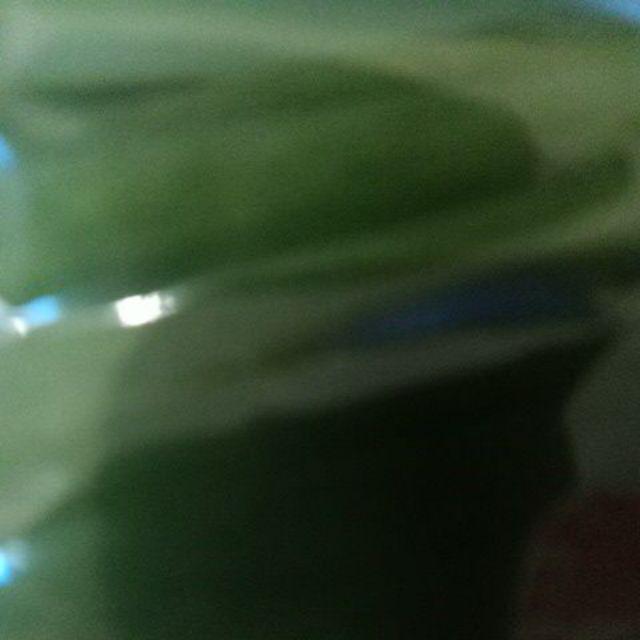 Daun Pandan Wangi Segar