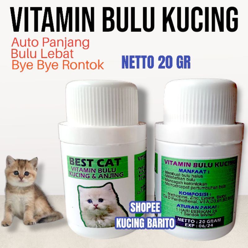 Vitamin Bulu Kucing Anjing Best Cat Obat Bulu Rontok Pelebat Bulu Panjang Ampuh