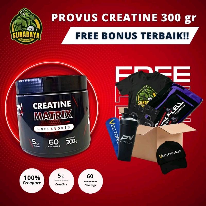 Jual Provus Creatine Matrix 300 Gram 60 Servings Kreatine Monohydrate