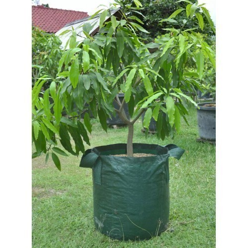 Planter Bag 11 Liter Hijau Kantong Pot Tanaman 2 Handle NETAFARM EG