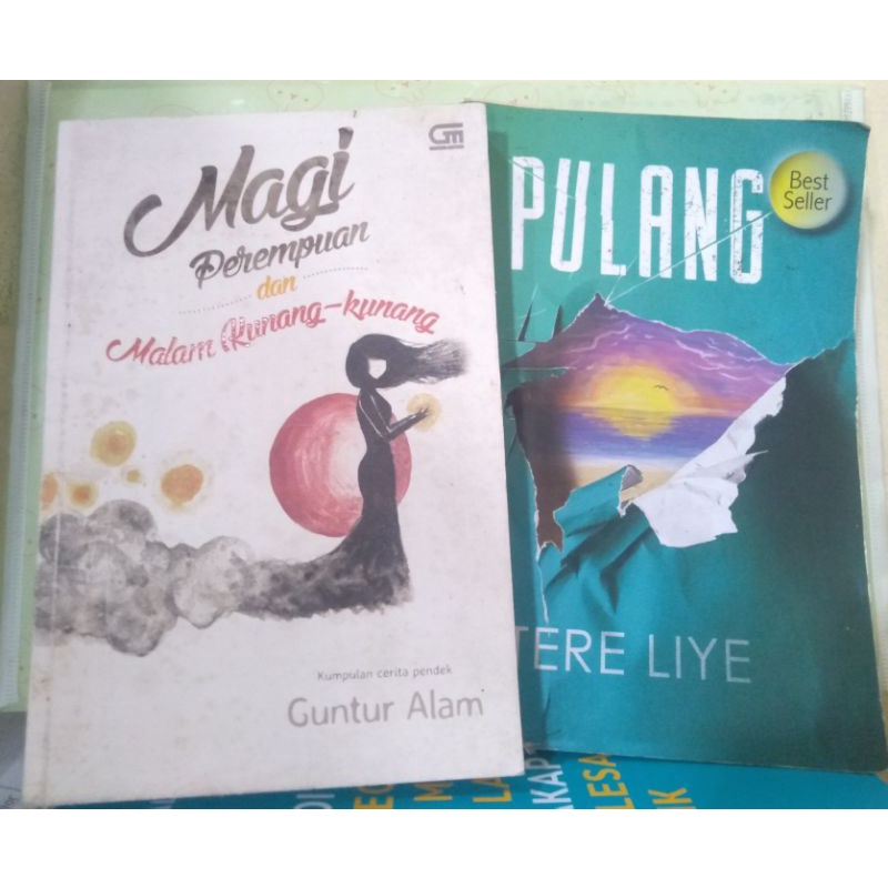 [Reloved Novel]Tereliye