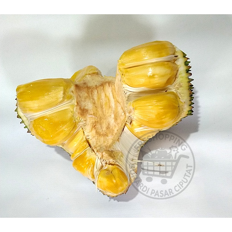 Buah Nangka Matang Utuh Berat ±1,2 kg