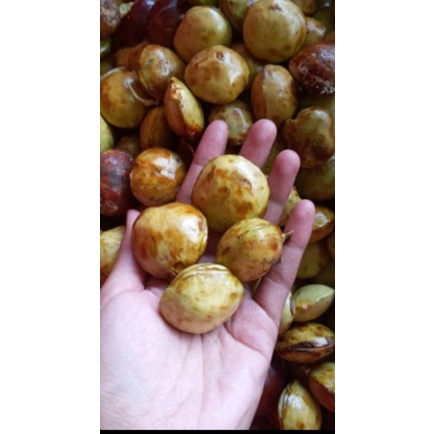 

GR jengkol tua sudah di kupas/fress /jengkol super gram