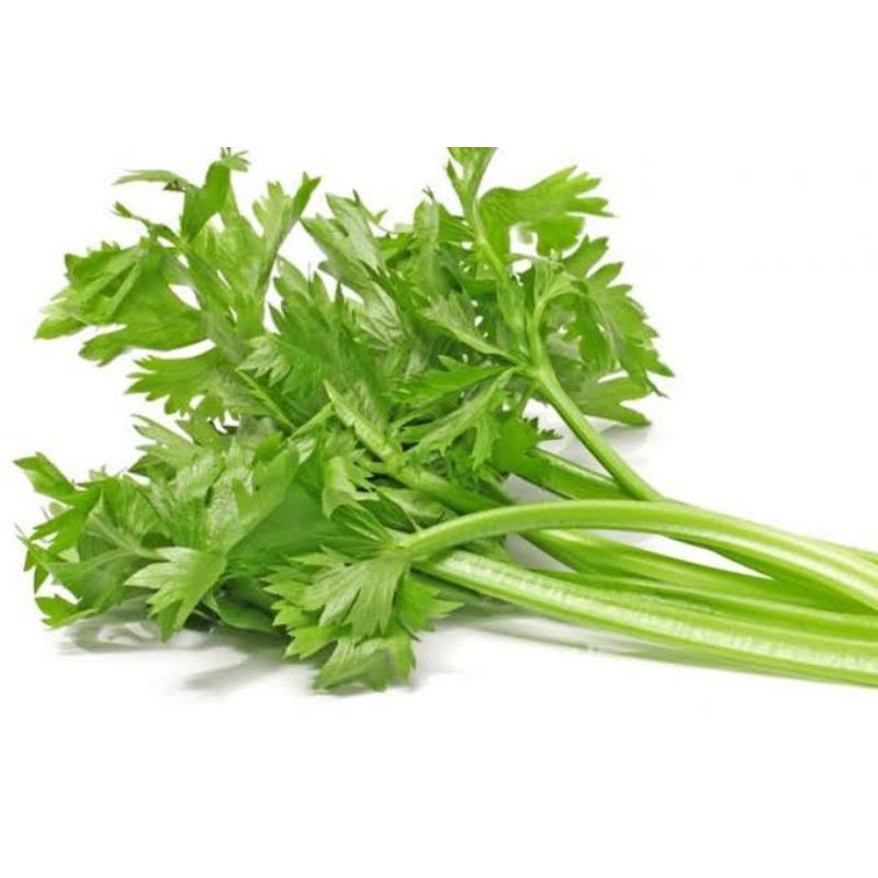 

Daun Seledri