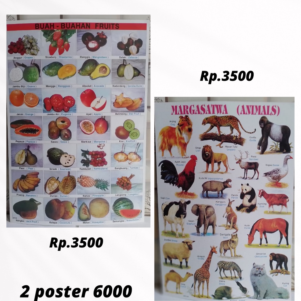 Poster buah-buahan Dan poster margasatwa