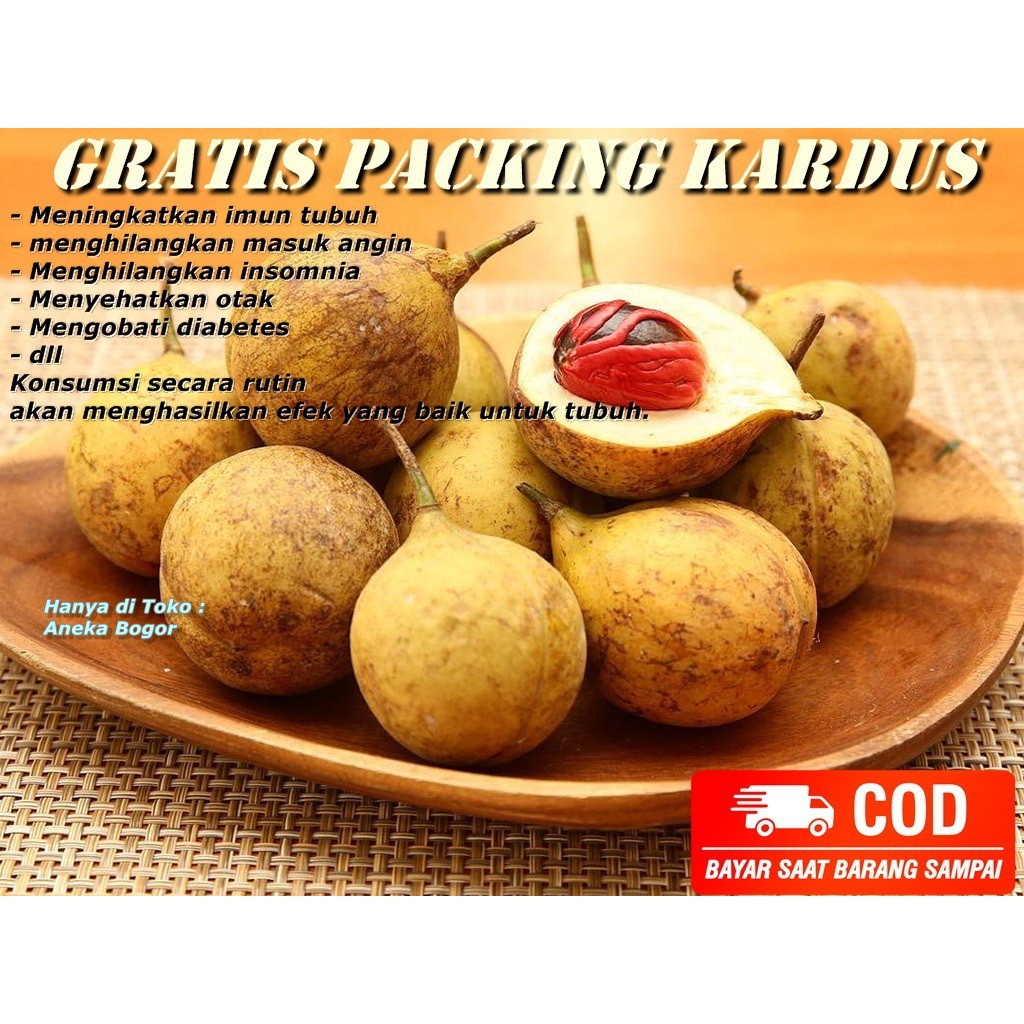 

Buah Pala Mentah 1 kg/buah pala termurah/rempah rempah