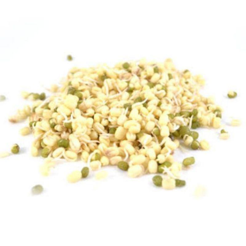 

Toge Kecil / Toge Rawon 100gr