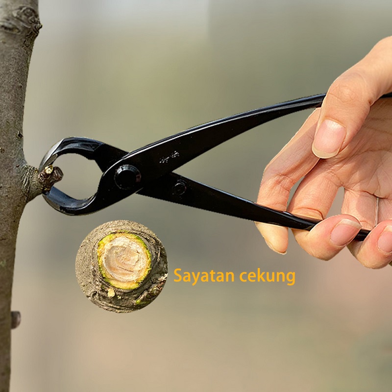 Mi.more Pemangkas Bonsai Gunting Bunga Potong Cabang Bend Cabang Mengatur Taman Lebih Praktis Knob Cutter Bonsai Catok Alat Pemotong