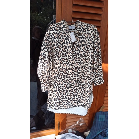 Leopard Top Maima Indonesia (Sampel)