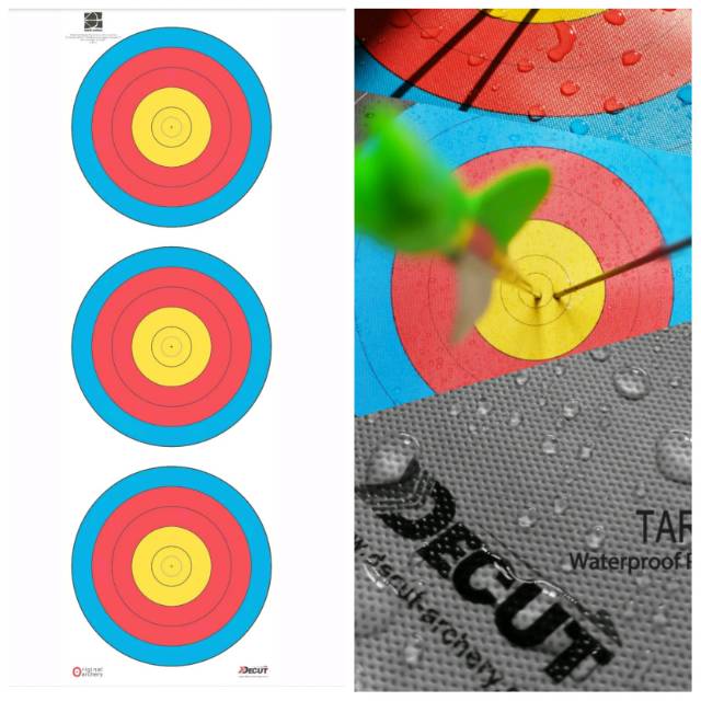 Official WORLD ARCHERY Target Face Indoors 40cm 5Ring Vertical