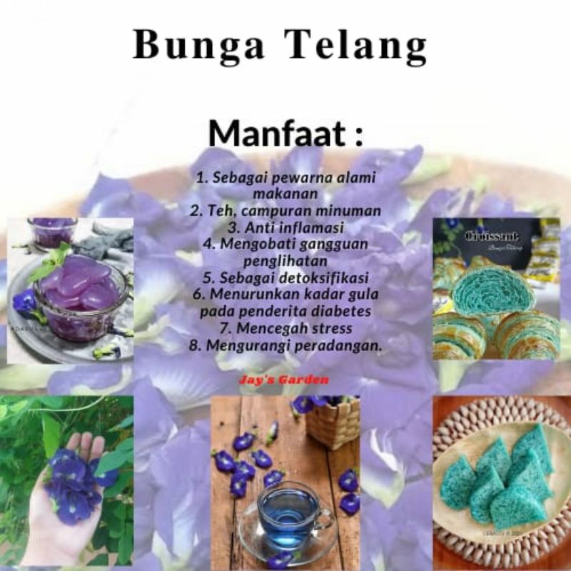 

Bunga Telang Kering 100gr Organik 100% alami
