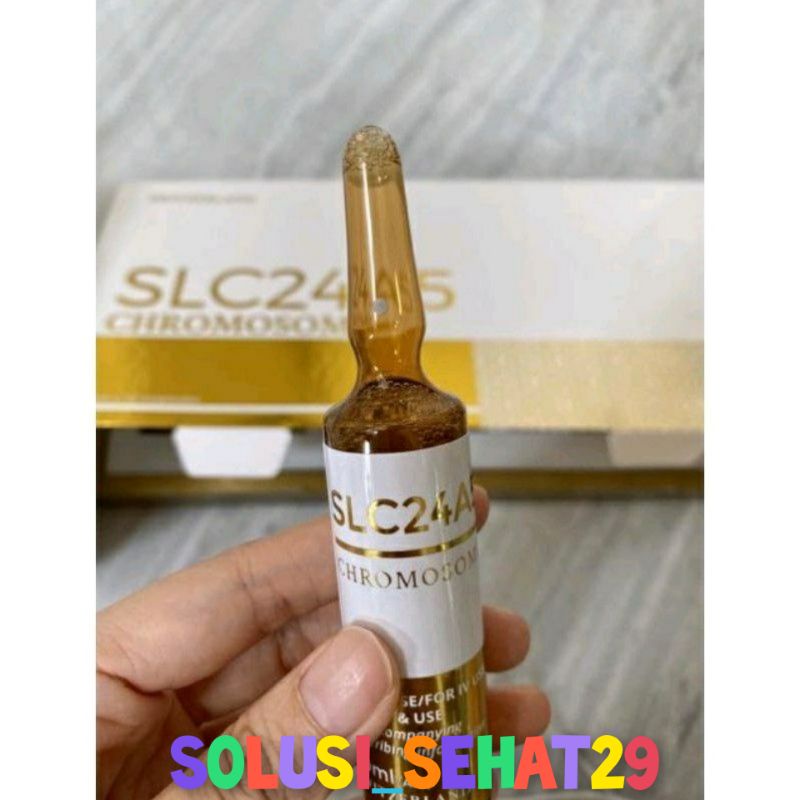 SLC24A5 CHROMOSOME | SLC GOLD 24A5 CHROMOSOME ORIGINAL HARGA ECER