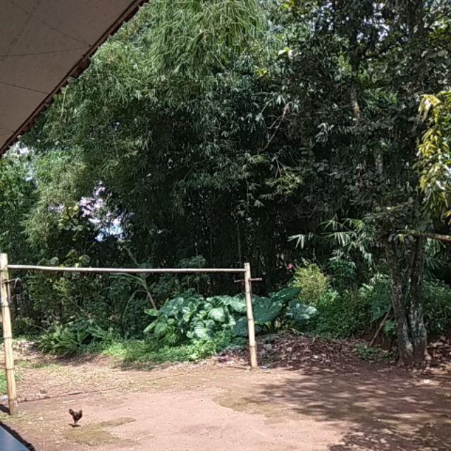 Spons Mandi / Puff Badan Kamarmandi / Bathroom Bahan Halus Busa Melimpah Bisa Cod