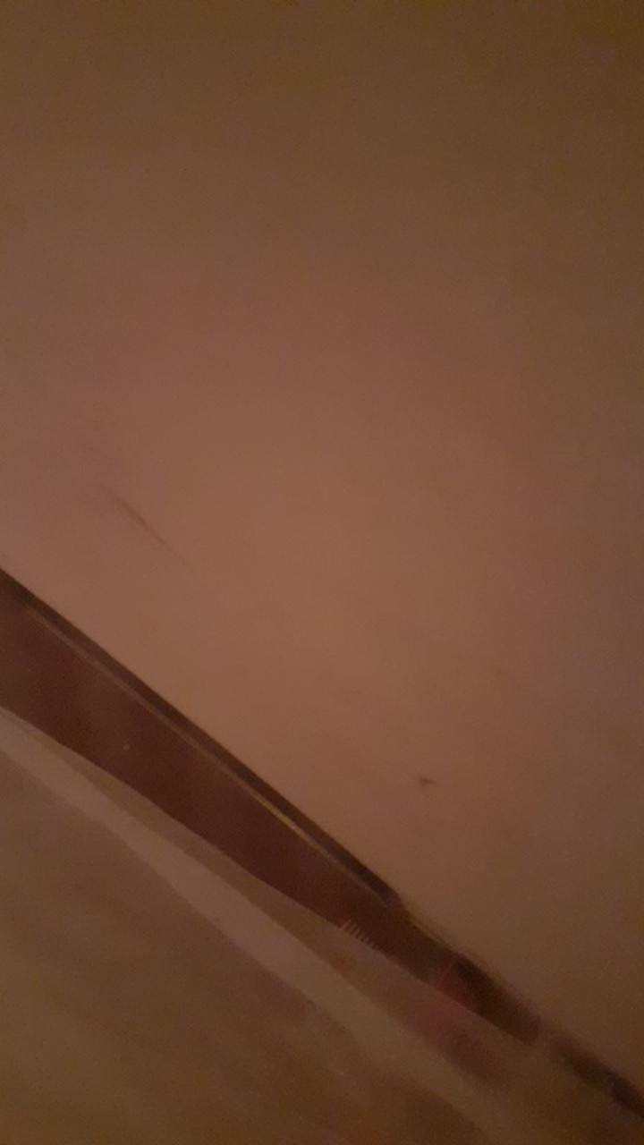 Cetakan Resin Bahan Silikon Bentuk Kaktus Untuk Kerajinan Tangan