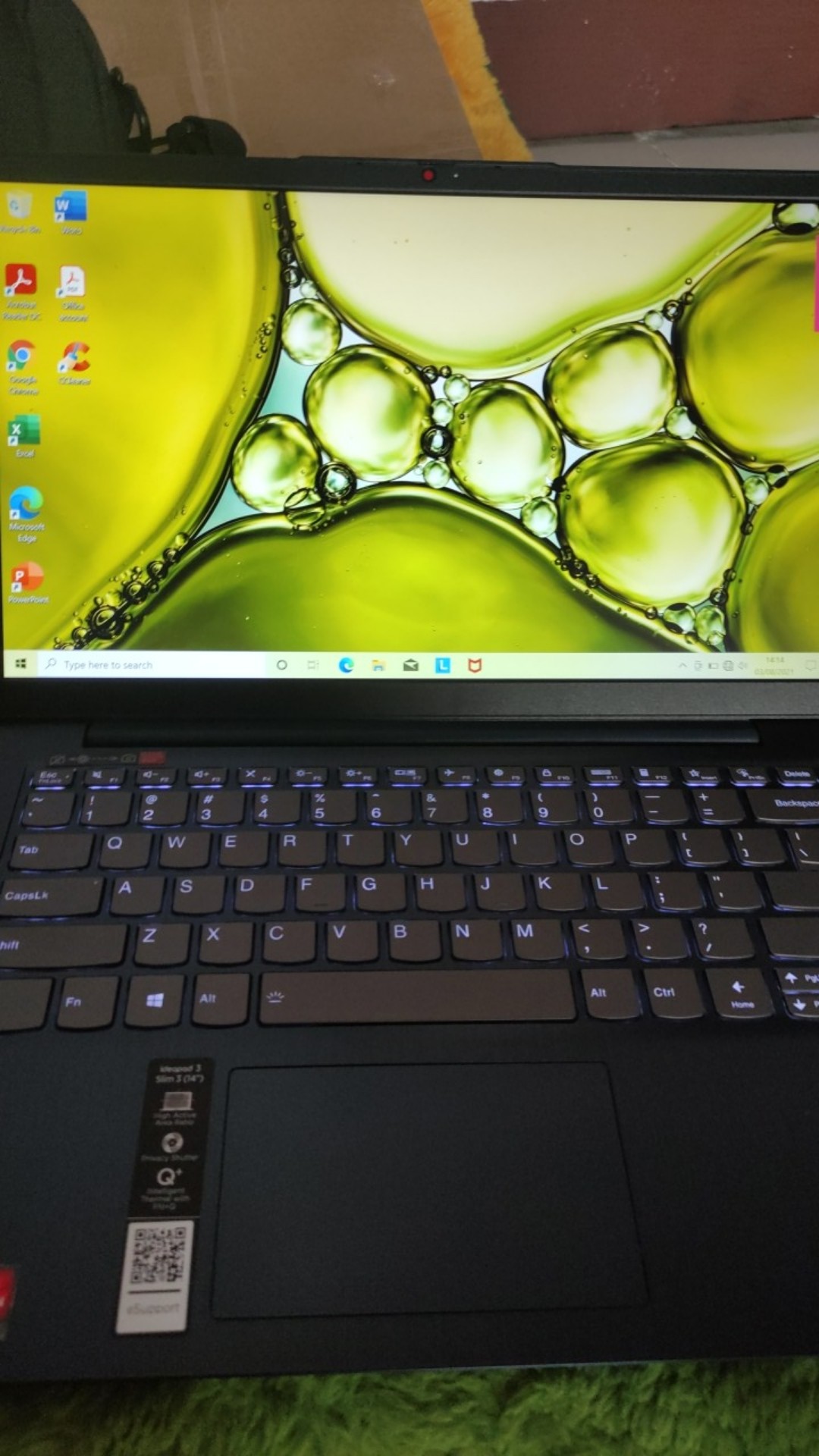 Paking Kayu Dan Asuransi