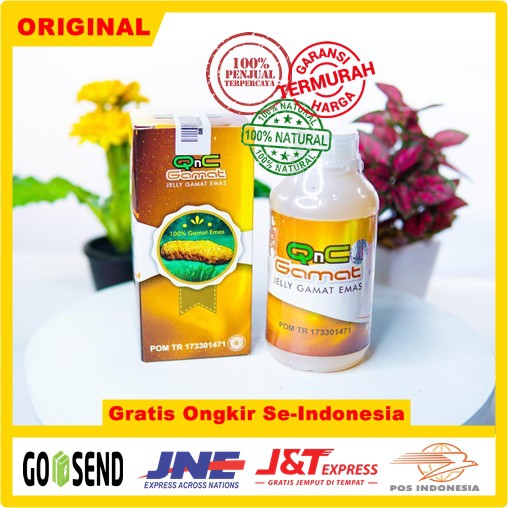 QnC Jelly Gamat Emas Asli 100% ORIGINAL | Gamat QnC
