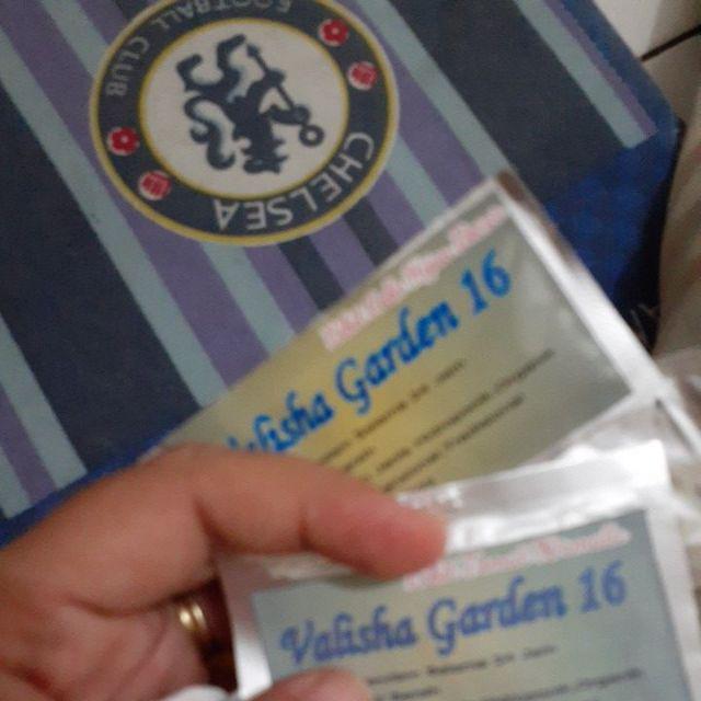 Rockwool Cultilene Siap Pakai 54 Plug