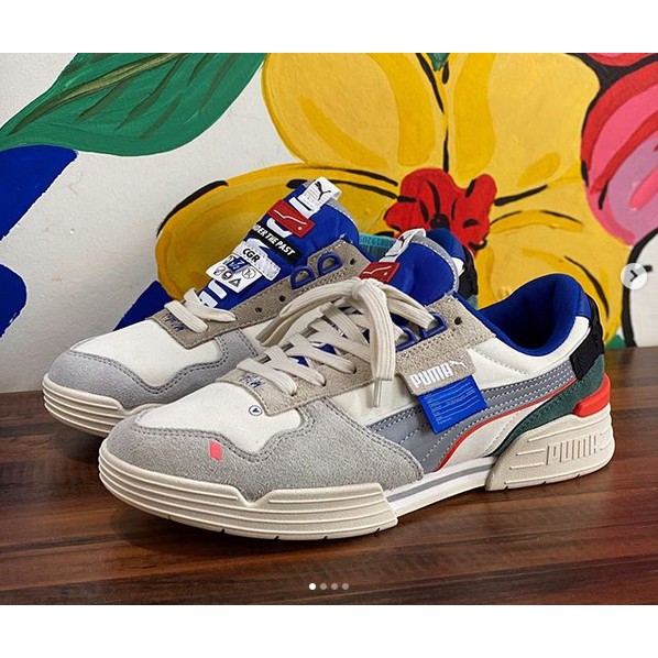 Puma RS Ader Error