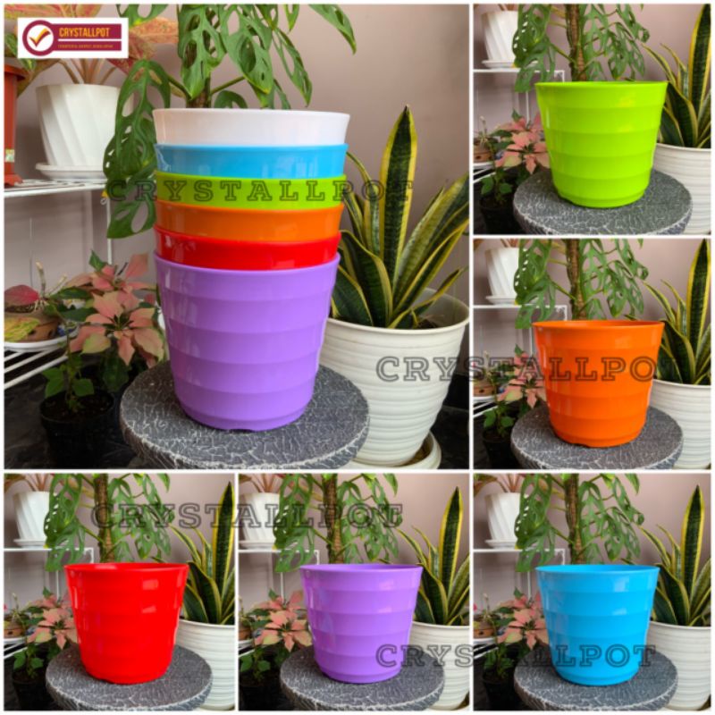 pot bunga tanaman Mado warna warni 22cm lovenia 8027 - PM 8027