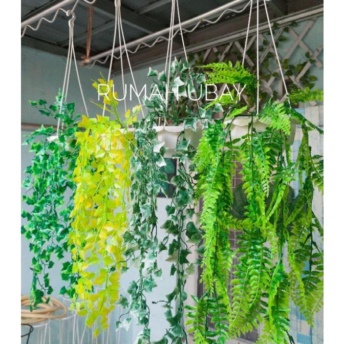 Bunga Juntai Pot Gantung / Daun Gantung / Bunga Gantung