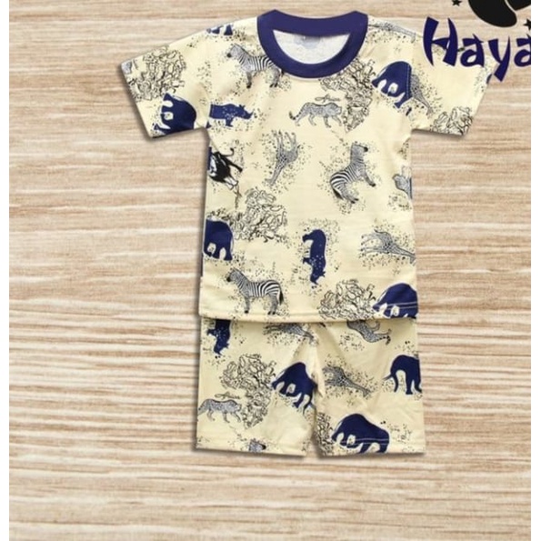 harian hayami|harian anak hayami|harian anak cowok|harian anak cewek|setelan harian anak|setelan har