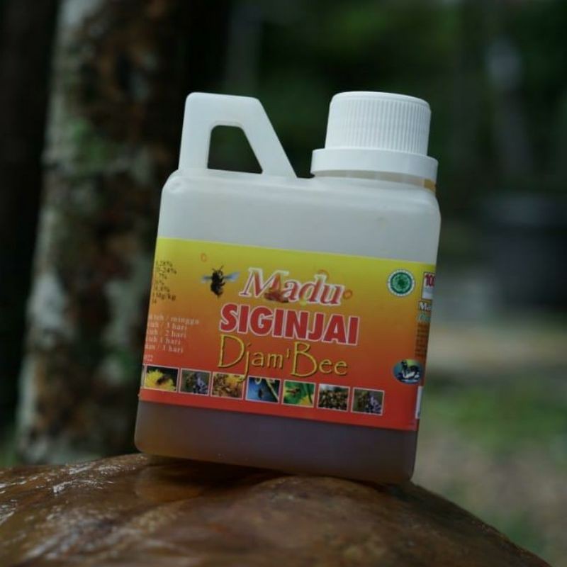 

Madu Hutan 500g