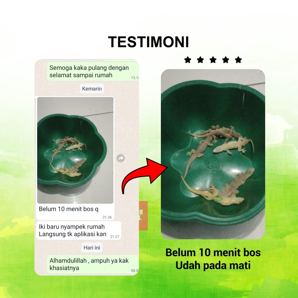 VENOM ANTI RACUN CICAK - Matikan Cicak Tokek Kecoa Dalam Sekejap, Basmi Cicak Yang Mengganggu, Rumah Bebas Cicak, Bersih Dari Kotorannya &amp; Najis, 100% Original