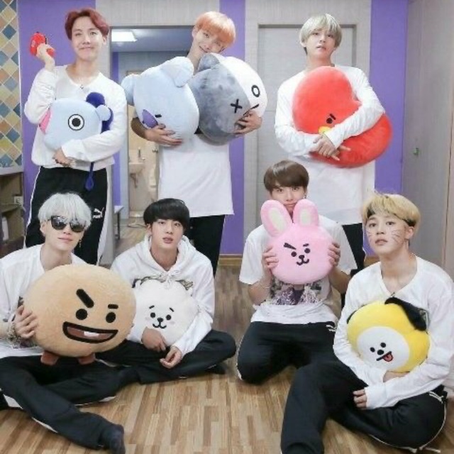 Cushion BT21 30cm Official Line Store