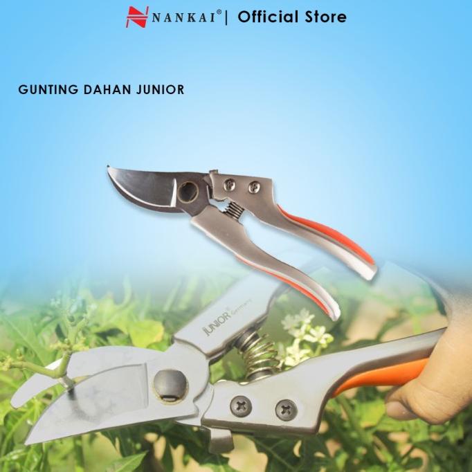 

Junior Gunting Dahan 03 nankait67 Diminati Banget