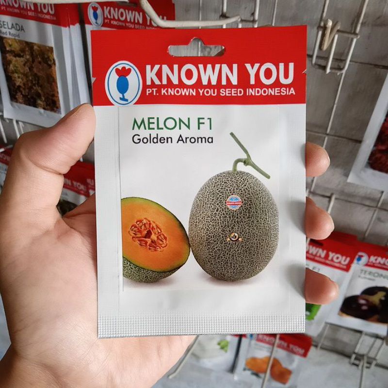 Benih Melon Daging Orange Golden Aroma F1