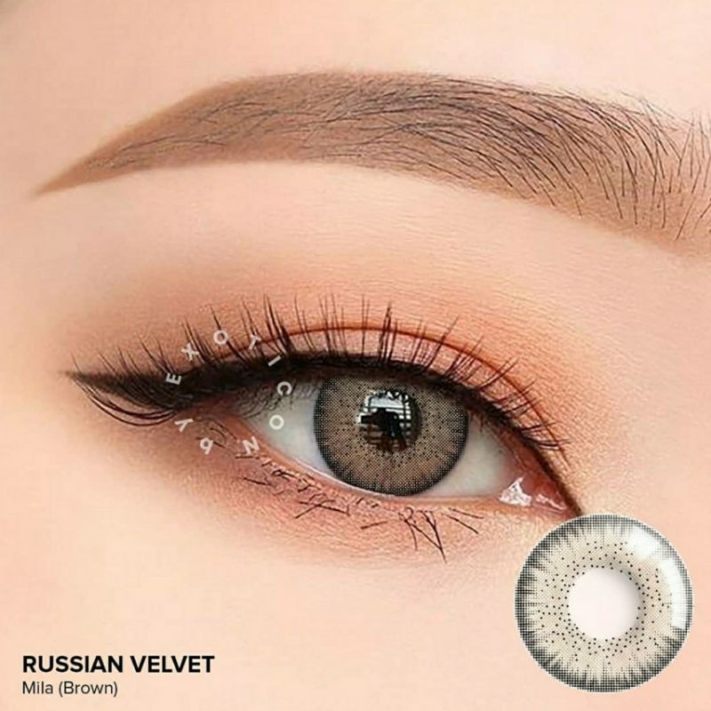 Softlens X2 RUSSIAN VELVET 14.5 MM MILA BROWN MINUS -0.50 S.D -6.00