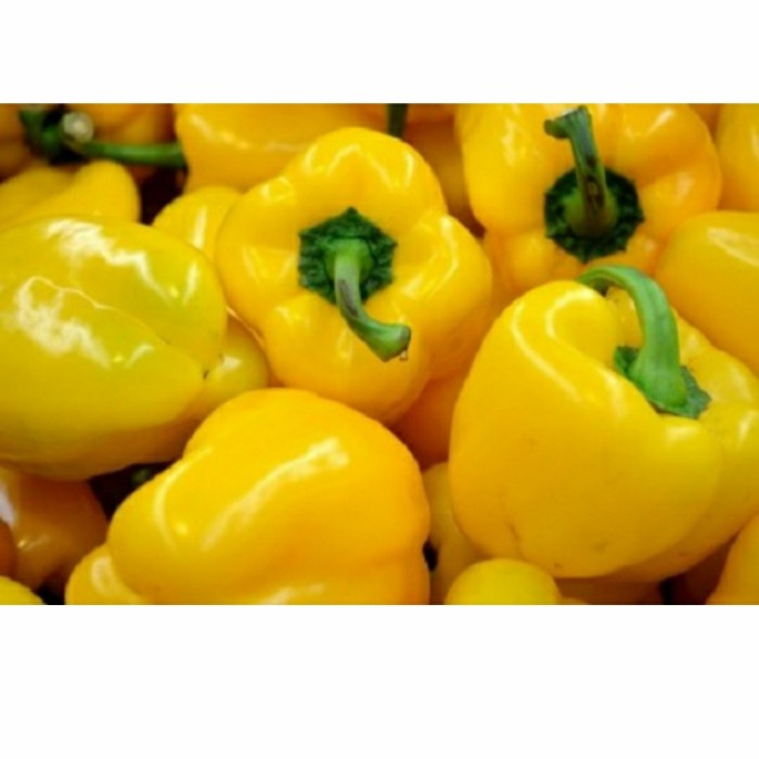 

Paprika Kuning - 500 gram