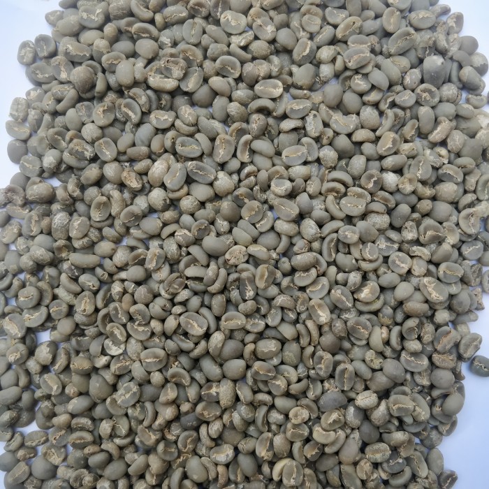 

BIJI KOPI ARABIKA KERINCI 1 KG - SEMI WASHED GREEN BEAN
