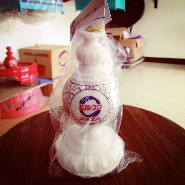 Pion lovebird ebod jaya