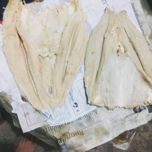 

Ikan Asin Jambal Roti