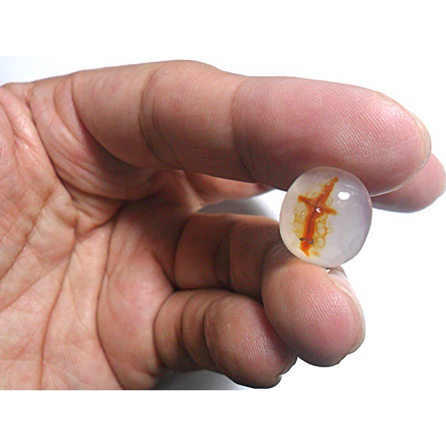 AG103 Oval Cabochon 14x13mm 8.15ct Natural Untreated Figure Golden Orange Cross Picture Agate