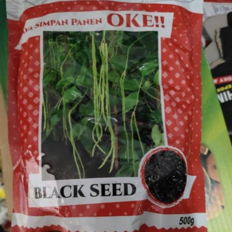TT99 bibit / benih Kacang Panjang Emas BLACK SEED bola dunia 500 gram