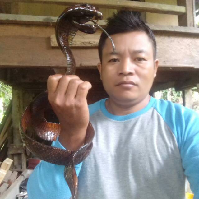aissyank