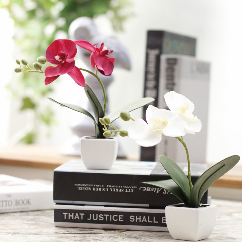 Greenleaf-Bunga Anggrek hiasan ruang tamu dan kantor bunga palsu mini dengan pot