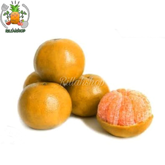 

Buah Jeruk Medan Super Kg