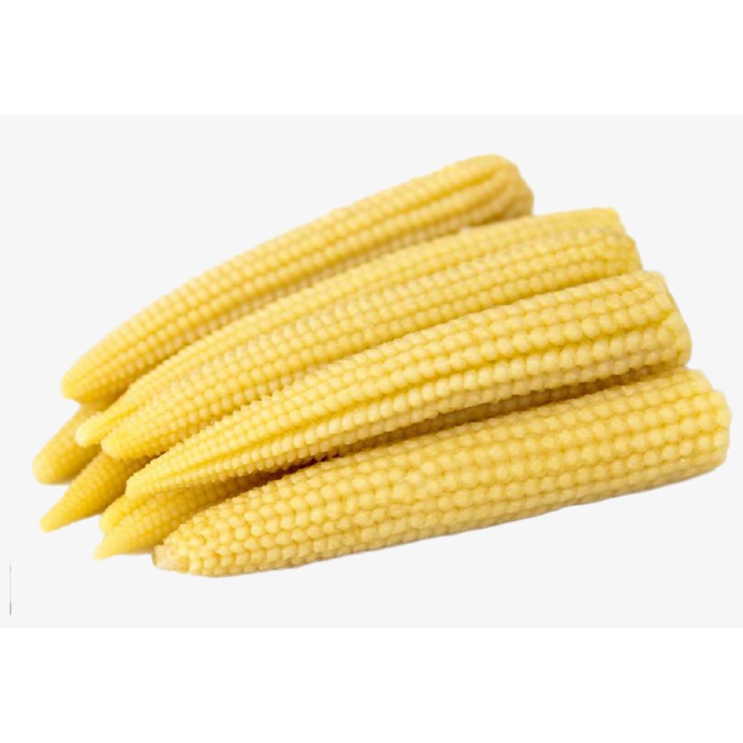 

Baby Corn Segar [ 250gr ]