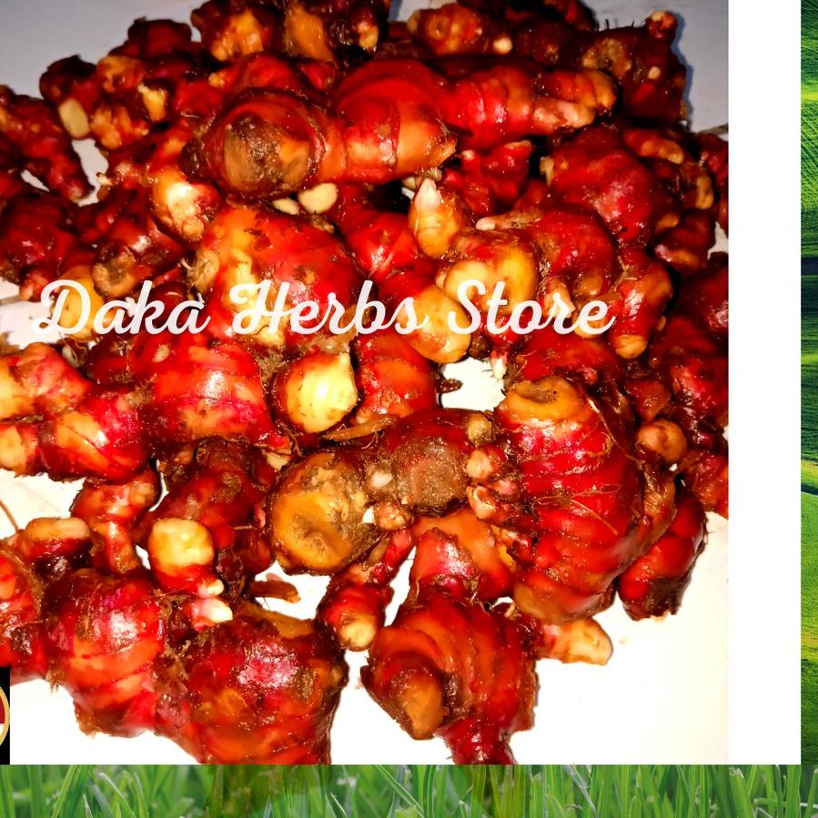 

Ready Stok Jahe merah bubuk murni tanpa campuran (100 gram) harga bersaing