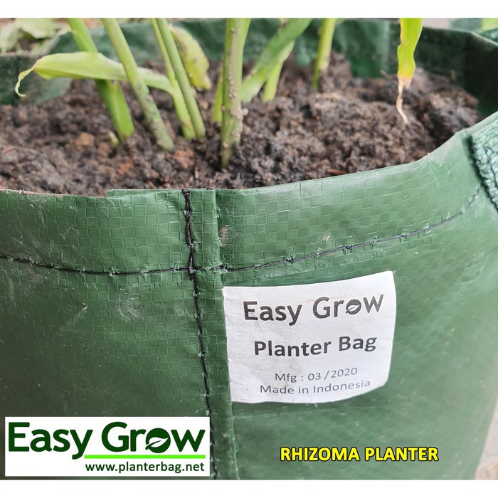 EASY GROW - RHIZOMA PLANTER BAG size L - pot jahe - planter jahe - pot rimpang - planter rimpang